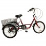 TRICICLO GAMBIER 